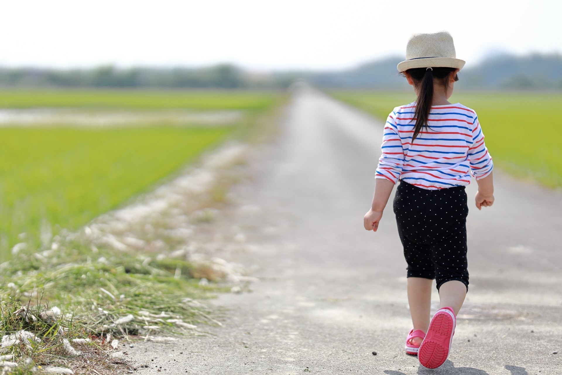 地域安心　見守りサービス